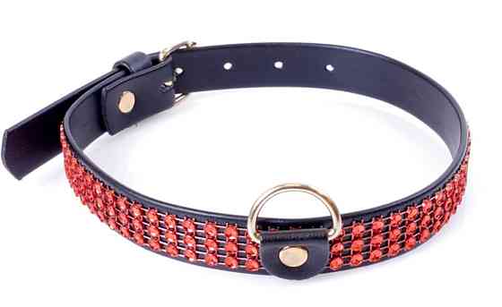 Ошейник из искуственной кожи с кристаллами Fetish Boss Series - Collar with crystals Red, BS3300108 Sex Aura Киев