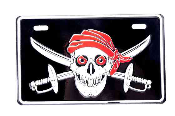 Накладка на номер SKULL (20x12см) (#7946) Мукачево