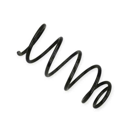 Пружина Nissan Almera N16 00- передняя Мукачево