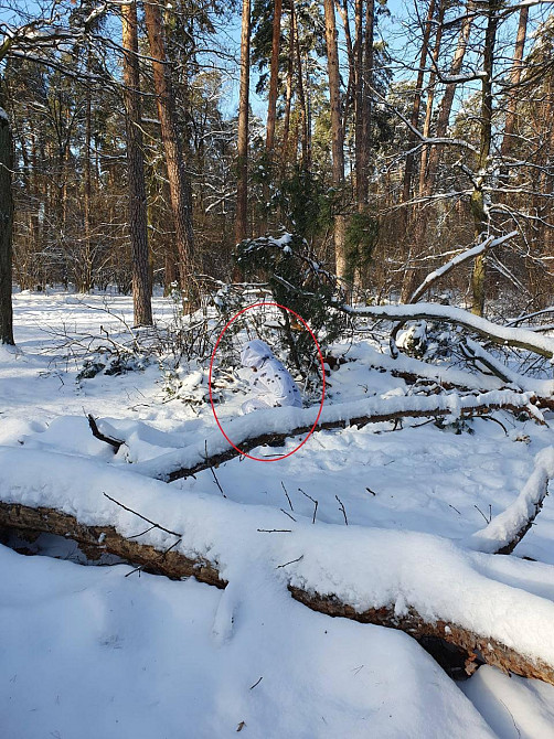 Маскхалат зимний Масккостюм Военный Дождевик костюм белый Тактический камуфляж Днепр - изображение 2