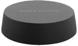 Портативная колонка Bang Olufsen BeoSound Core Киев - изображение 1
