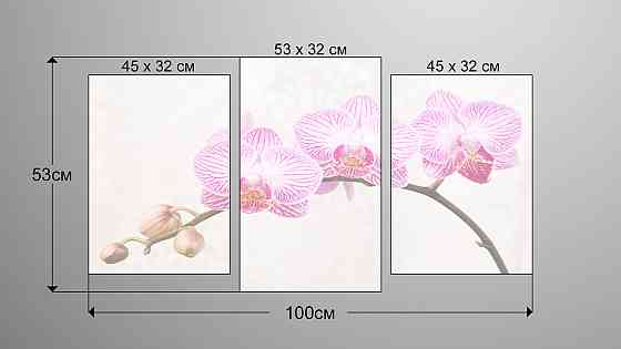 Модульна картина Квіти Орхідея Art-138_3 Київ