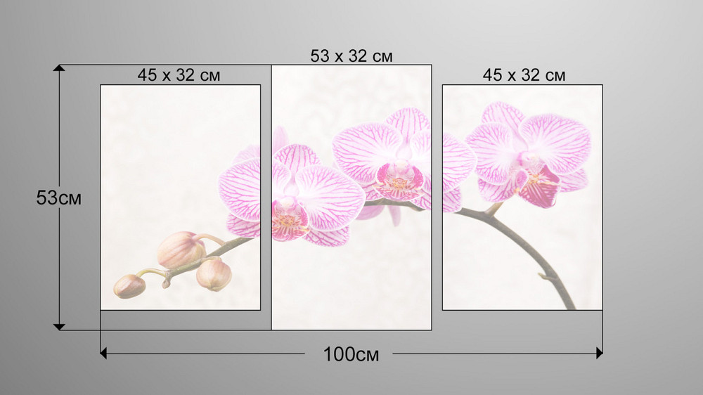 Модульная картина Цветы Орхидея Art-138_3 Киев - изображение 3