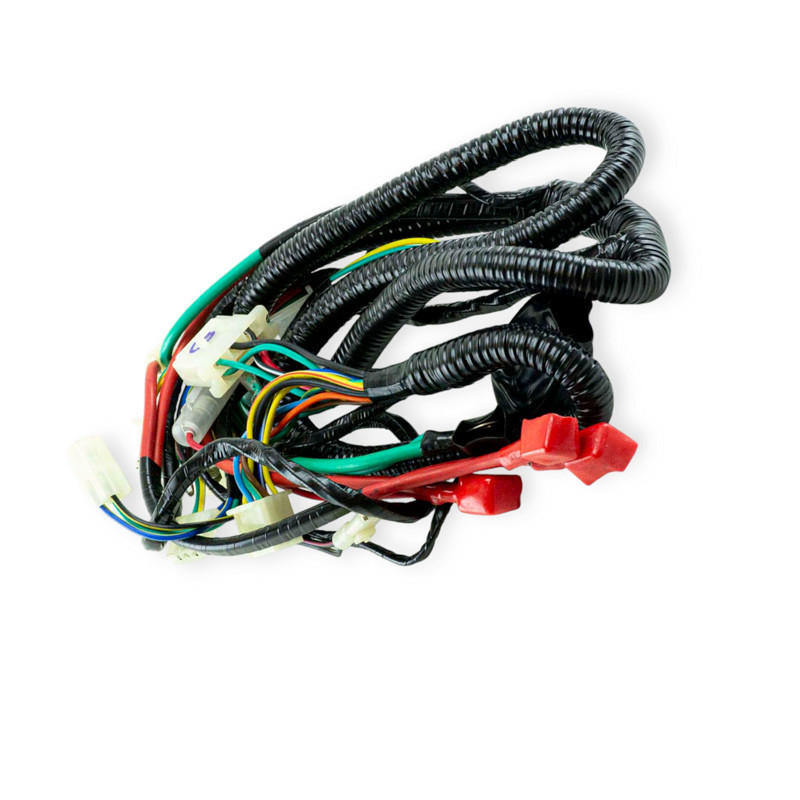 Проведення Вінд Мукачево - фото 2