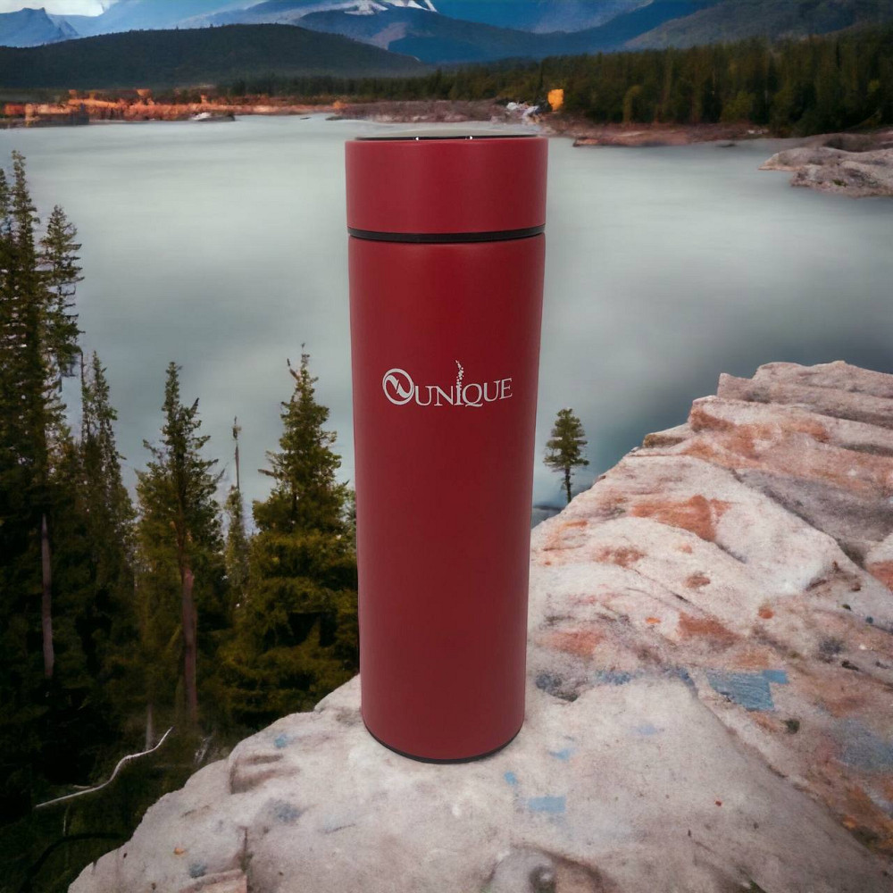 Термос с датчиком температуры на подарок, Умный термос датчиком Горячий для чая DK-69 Львов - изображение 1