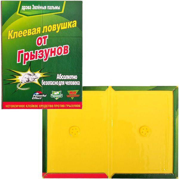 Книга от грызунов 120х170мм Харьков - изображение 1