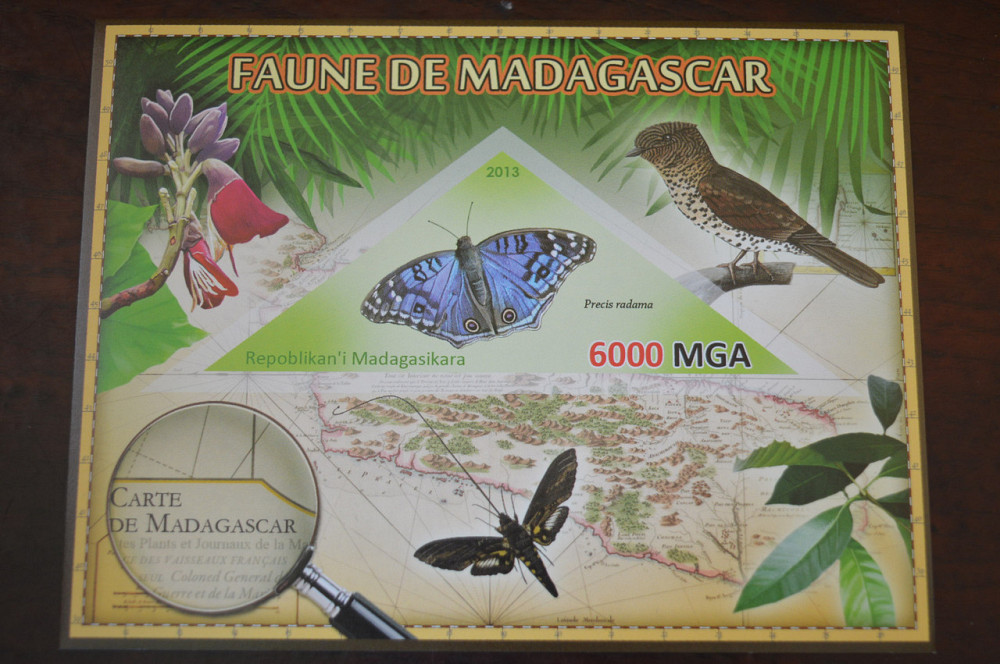Мадагаскар. Фауна. Личности. Блок. 2014 р. (А-34) Полтава - фото 1