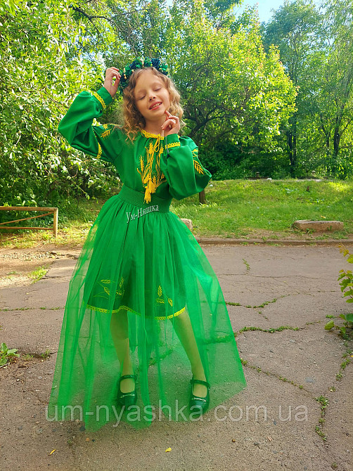 Детское вышитое платье с колосками Кривой Рог - изображение 5