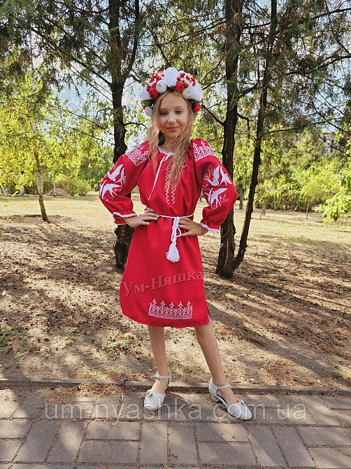 Платье вышиванка красное с ласточками 134-140 Кривой Рог - изображение 1