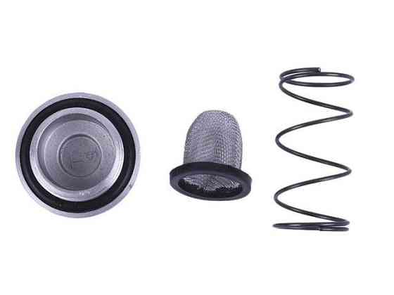 Кришка зливу оливи в комплекті на чотиритактний двигун Мукачево