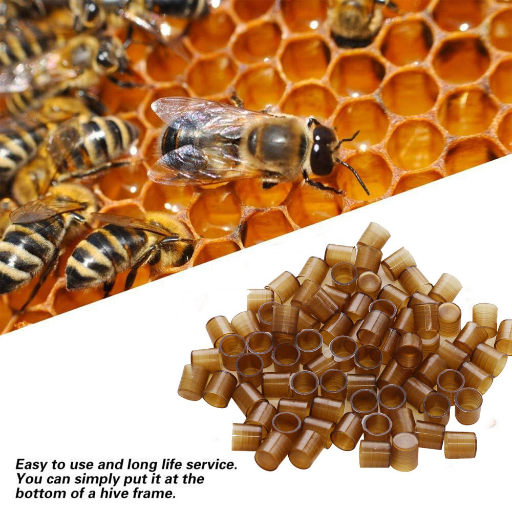 Система Nicot для вывода пчелиных маток 110 ячеек, пасечный набор для пчеловодства и матководства Киев - изображение 5