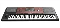 Піаніно (синтезатор) Korg PA-700 Київ - фото 1