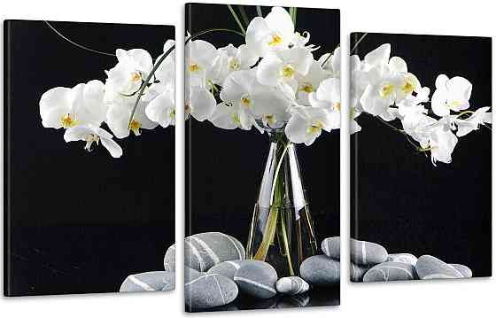 Модульная картина Орхидея Art-43_3 100x150 см Киев