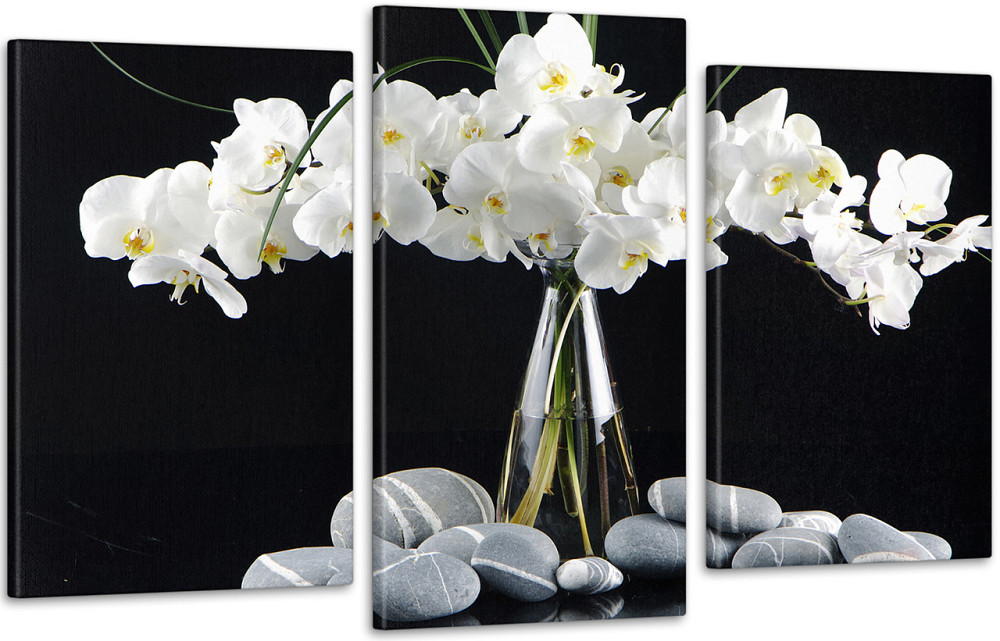 Модульна картина Орхідея Art-43_3 Київ - фото 1