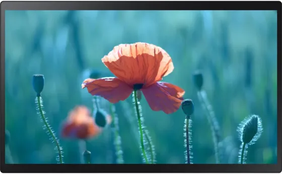 Монитор Samsung QB24R-T (LH24QBRTBGCXEN) Киев