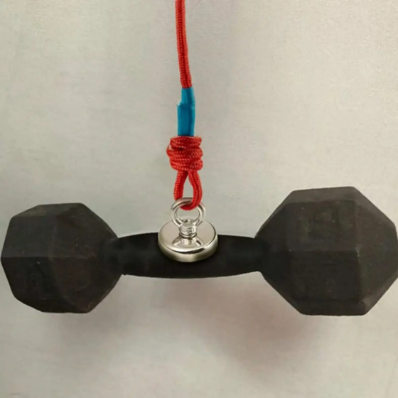 Пошуковий неодимовий магніт у корпусі з кільцем 60 мм — 120 кг SBR Київ