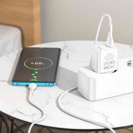 Зарядное устройство HOCO C98A Proton с кабелем Type-C белое Киев