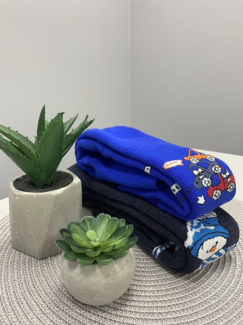 Колготки дитячі махрові бавовняні арт.921 - в асортименті дівчинка, хлопчик 104-110 Чернівці - фото 4