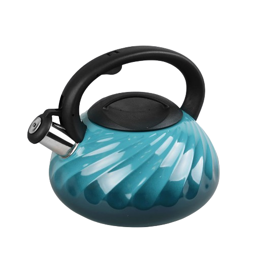 Чайник 3л металевий блакитний MR-1321-Blue Maestro Житомир