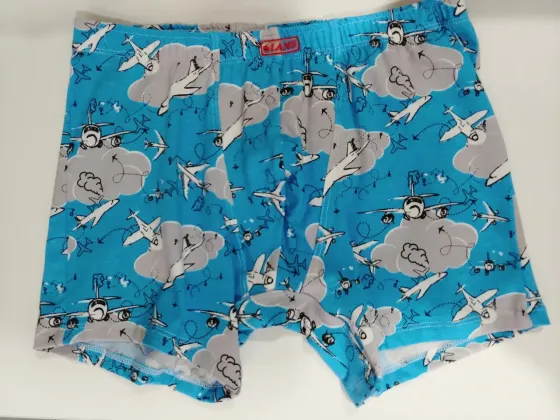 Трусы мужские Шорты Lans 06/040 L, Самолеты Киев