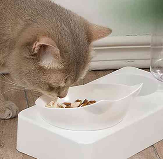 Миска с автоматической подачей воды для кошек и собак 24 на 13 см белый Киев