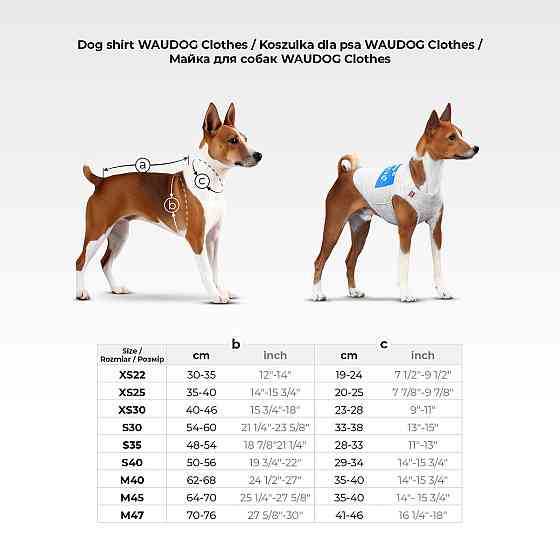Майка для собак WAUDOG Clothes малюнок "Рік та Морті 2", M40, B 62-68 см, С 35-40 см Київ