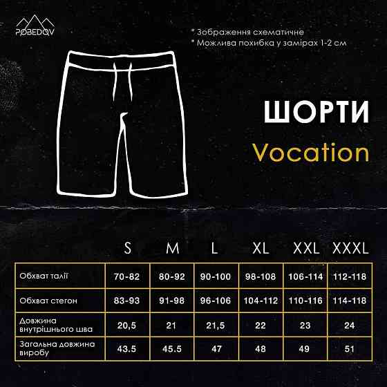 Плавательные шорты мужские темно-серые Pobedov Vocation Dark Gray Киев