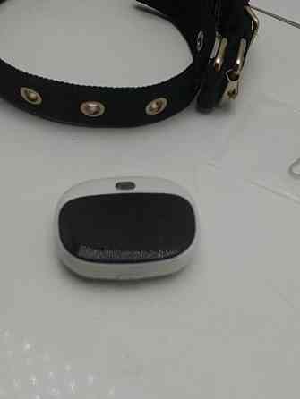 GPS трекер для собак GPS Tracker V43 з відстежуванням Луцьк