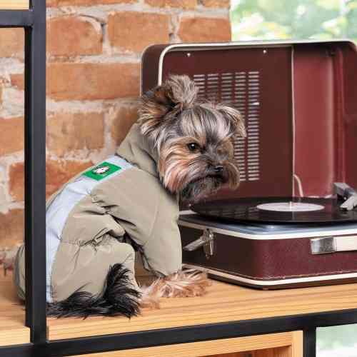 Комбинезон Pet Fashion EGO для собак бежевый М Киев