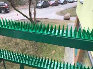 Шипы от птиц и животных, 0.5 м (высота шипа 3 см) Зелёный Одесса