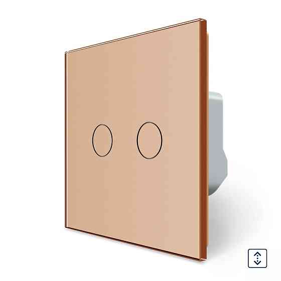 LIVOLO Сенсорний вимикач 2 сенсора для ролет штор воріт жалюзі LIVOLO золотий матовий скло Коломия