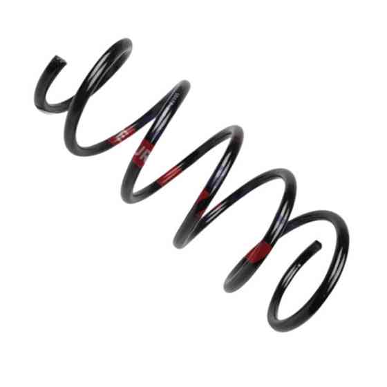 Пружина Renault Kangoo 1.6, 1.9dTi, 1.9dCi (97-) (FAST) передняя Мукачево