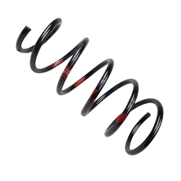 Пружина Renault Kangoo 1.6, 1.9dTi, 1.9dCi (97-) (FAST) передняя Мукачево - изображение 1