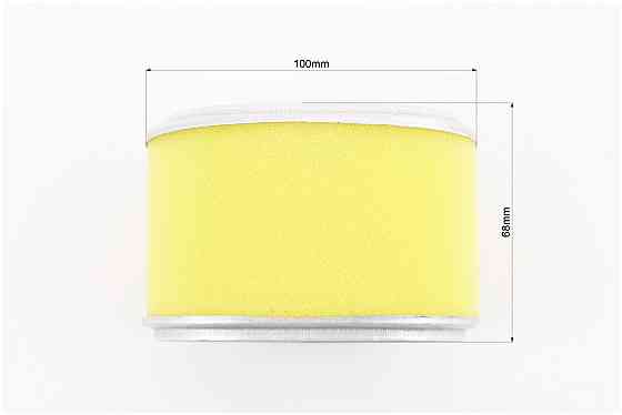 Фільтр повітряний - елемент (паперовий 100х73х66mm) 168F/170F Киев