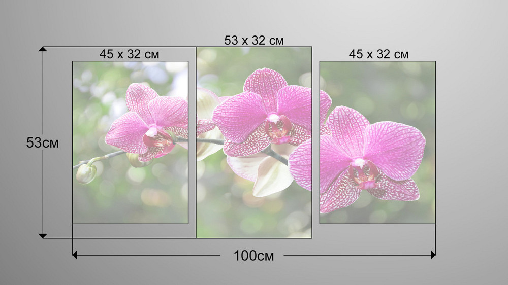 Модульная картина Цветок Орхидея Art-117_3 Киев - изображение 3