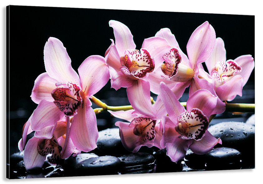 Картина холст у вітальню / спальню Орхідея    MLP_105  ( 60х30см ) 60x100 см Київ - фото 1