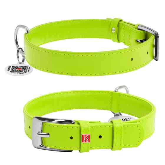 Нашийник для собак шкіряний WAUDOG Glamour з QR паспортом, без прикрас, L, Ш 25 мм, Дов 38-49 с Коломыя