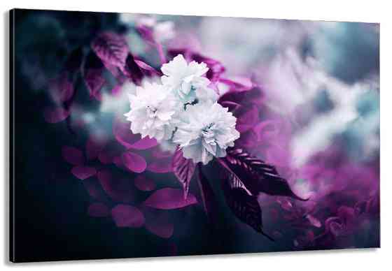 Картина холст в гостиную / спальню   Квіти      MLP_252 60x100 см Киев