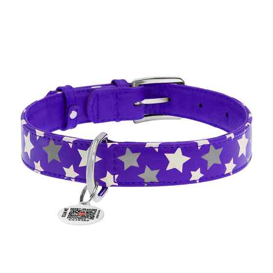 Нашийник для собак шкіряний WAUDOG Glamour з QR паспортом, візерунок "Зірочка", світлонакопичув Коломыя