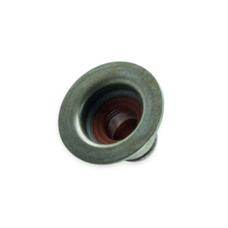 Сальник Авео 1.6, Matiz 1.0 клапанов Мукачево - изображение 1