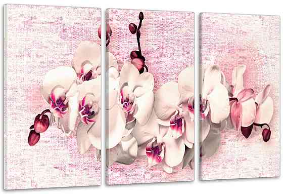 Модульна картина Абстракція Колір (53x100sм) Art-222_3А 70x130 см Київ