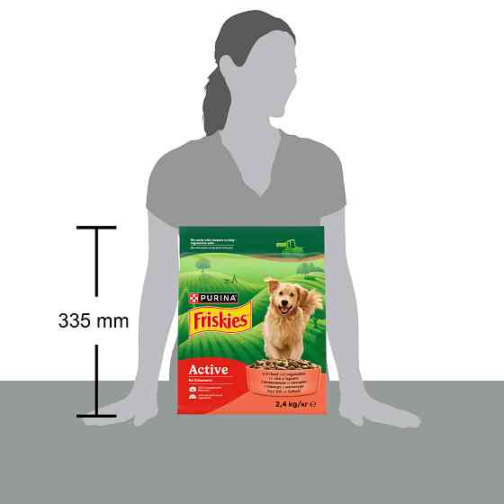 Сухий корм FRISKIES Active (Активний) для дорослих собак з підвищеною активністю, з яловичиною та овочами, 2.4 кг Київ