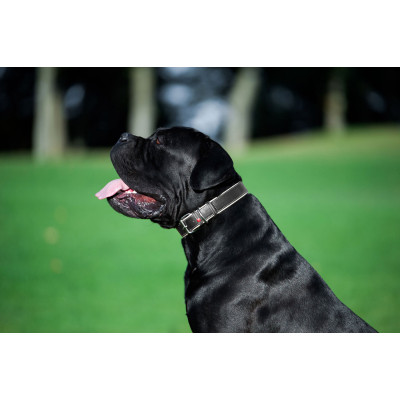 Ошейник для животных WAUDOG Soft с QR паспортом M Ш 25 мм Д 38-49 см черный (7202) Винница - изображение 3