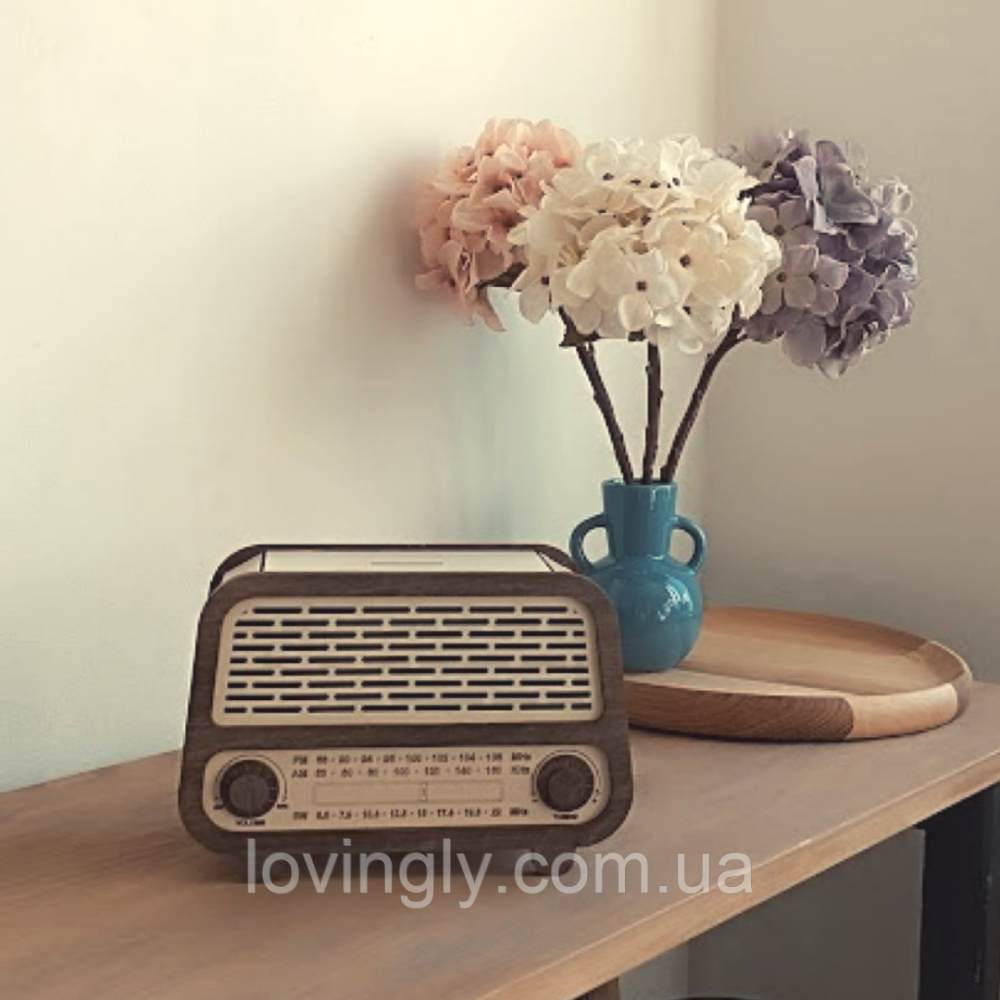 Скарбничка для  грошей "Ретро стиль" 19*13*9см Ірпінь - фото 1