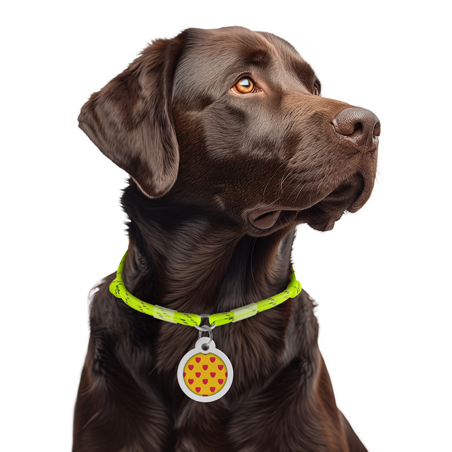 Шнурок для адресника з паракорду WAUDOG Smart ID, світловідбиваючий, розмір М, діаметр 4 мм, довжина 42-76 см жовтий Київ - фото 2
