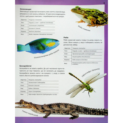 Книга Велика книга тварин - Клаудія Мартін Vivat (9786171704794) Винница - изображение 4