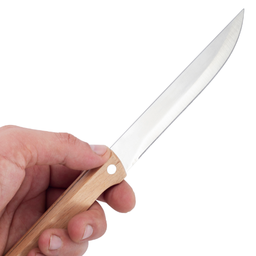 Ніж для м'яса лезо 20см/ручка 12,5см нержавіюча сталь з дерев'яною ручкою 5316 KAMILLE Житомир