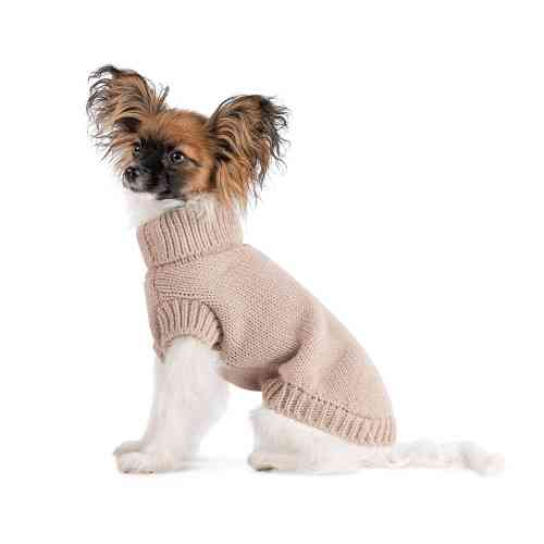 Свитер Sam Pet Fashion для собак, размер M бежевый Киев