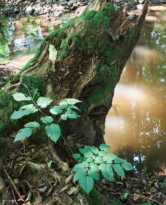 Фотоаппарат: Olympus PEN E-P3. Харьков - изображение 7