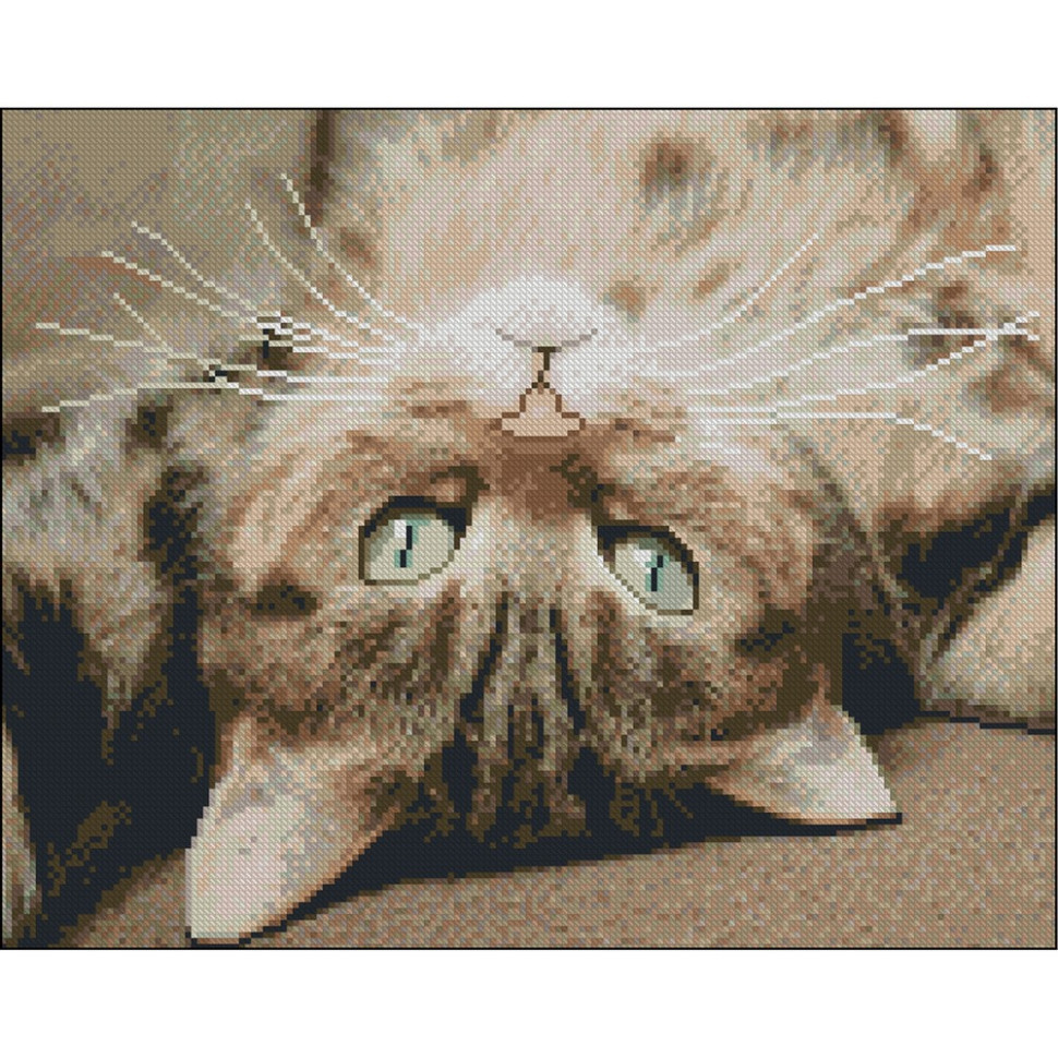 Алмазная мозаика без подрамника 